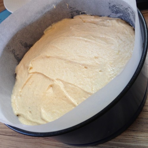 cake before cooking