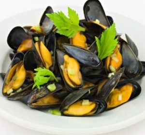 Muscles